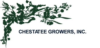 Chestatee Growers, a wholesale grower of plants and flowers for landscapers and landscape designers.